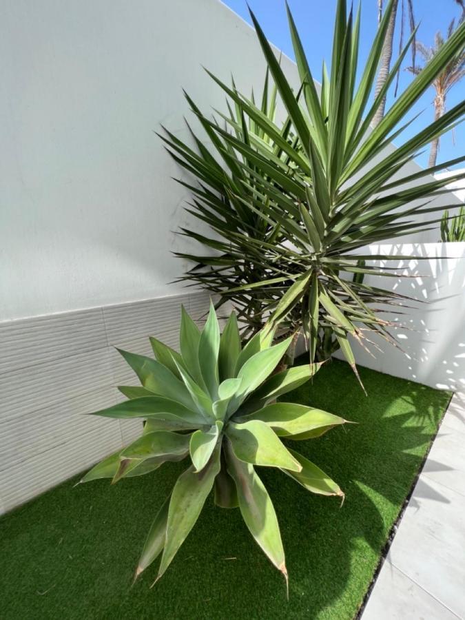 Corralejo Bristol Terrace Apartment Con Giardino Privato Esterno Dış mekan fotoğraf