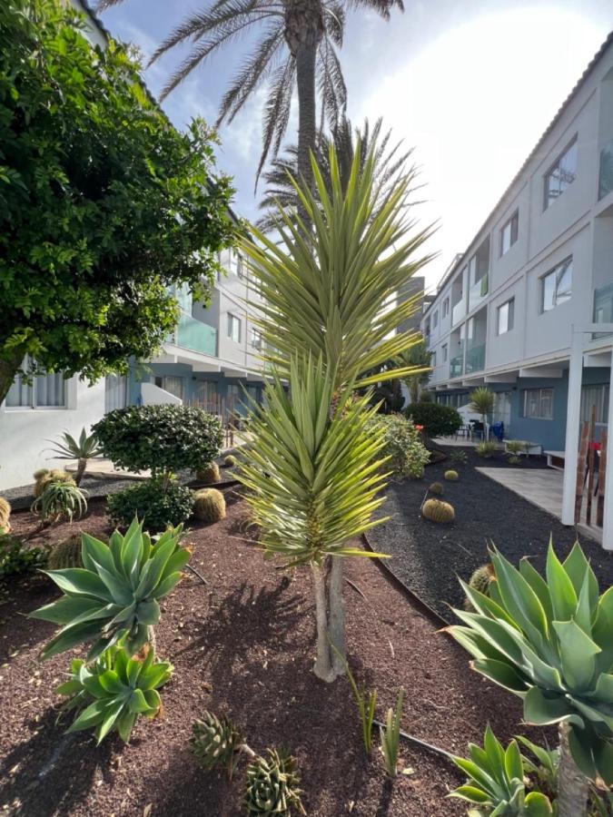 Corralejo Bristol Terrace Apartment Con Giardino Privato Esterno Dış mekan fotoğraf